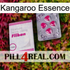 Kangaroo Essence 32